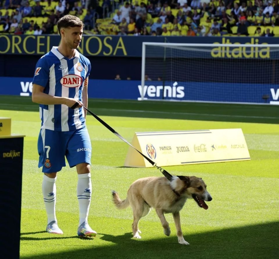 巴萨客场挑战比利亚雷亚尔，能否全身而退？的简单介绍