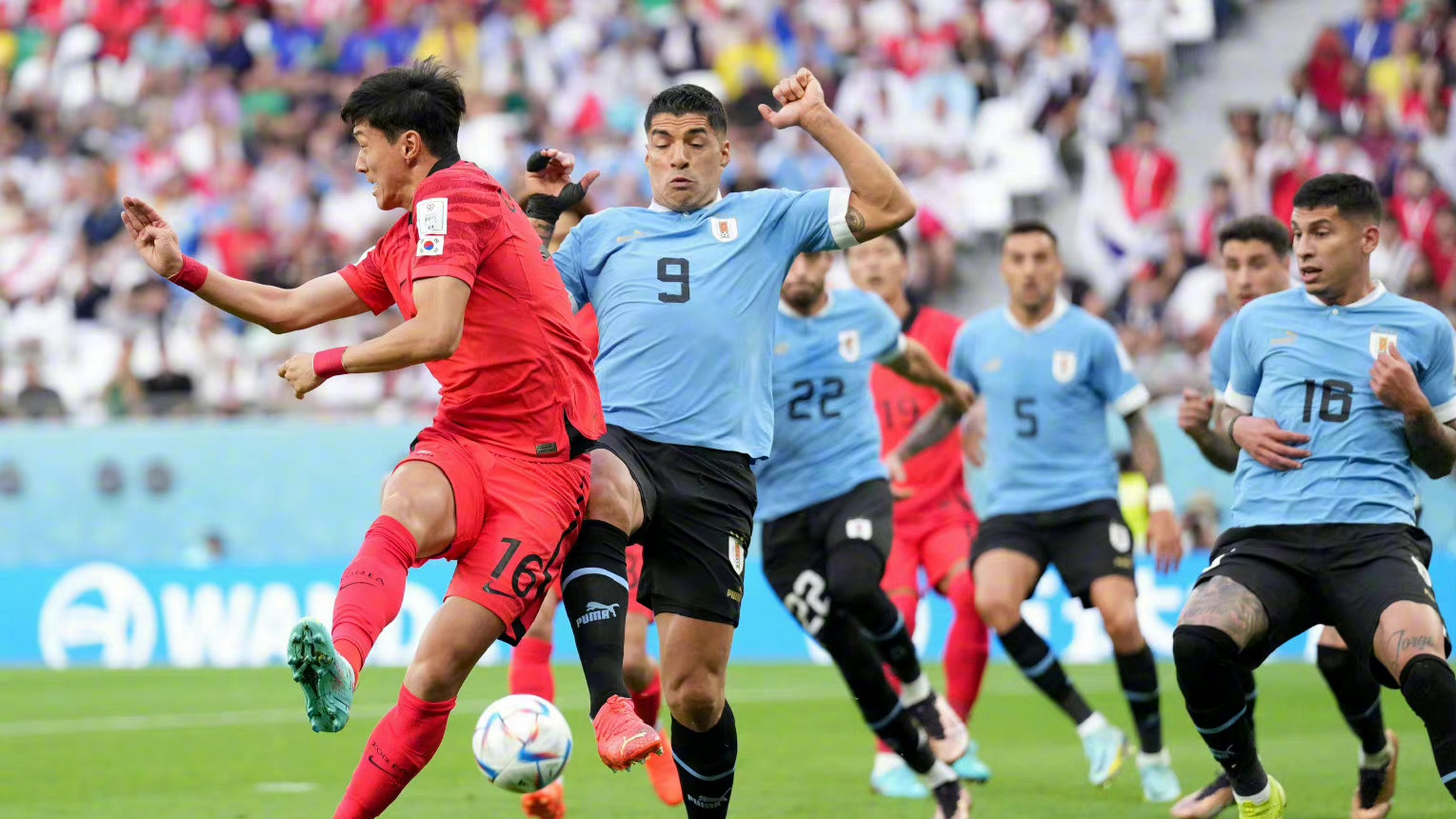 AYX体育赛事-包含伊朗劲旅展现实力，向前迈进半决赛的词条