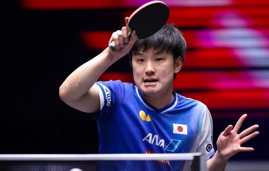 法国队险胜奥地利队，张本智和状态火热的简单介绍